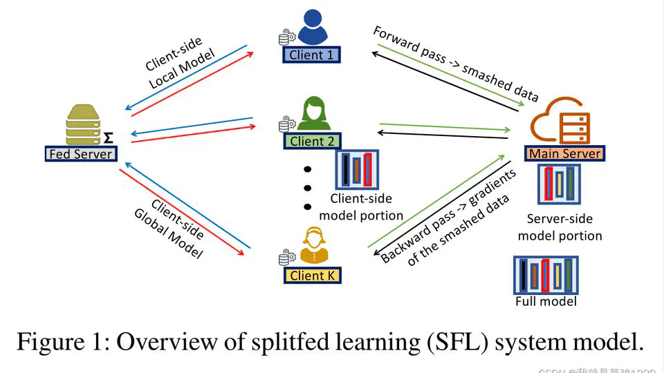 FedSeg论文阅读报告
